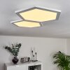 Fanebal Plafondpaneel LED Wit, 1-licht