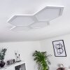 Fanebal Plafondpaneel LED Wit, 1-licht