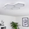 Fanebal Plafondpaneel LED Wit, 1-licht