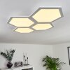 Fanebal Plafondpaneel LED Wit, 1-licht