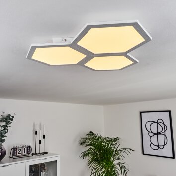 Fanebal Plafondpaneel LED, 1-licht