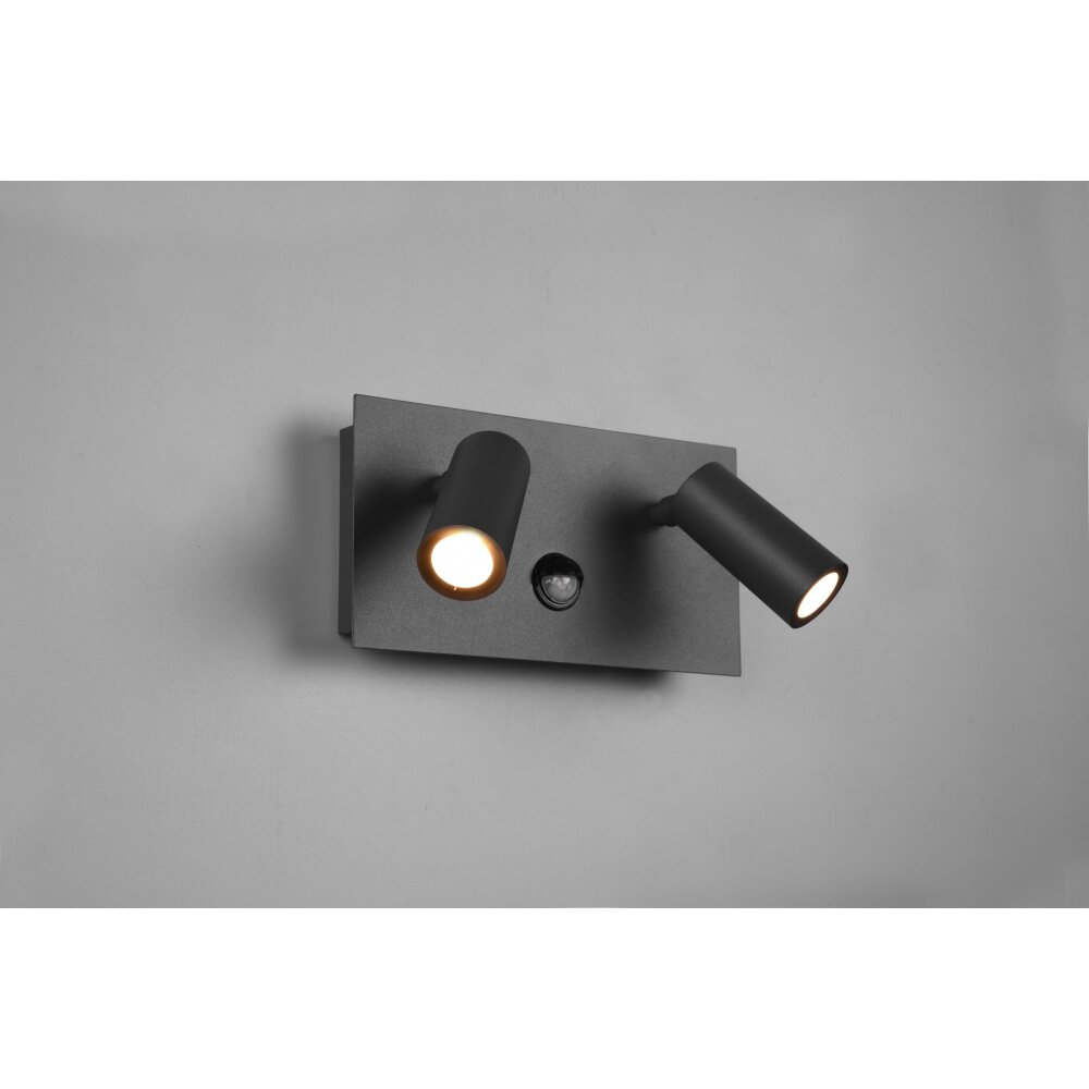 Trio Tunga Buiten muurverlichting LED Antraciet, 2-lichts, Bewegingsmelder main product photo