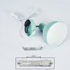 Caney Muurlamp Chroom, Groen, 1-licht