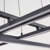 Omega Hanglamp LED Zwart, 1-licht