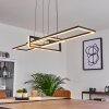 Omega Hanglamp LED Zwart, 1-licht