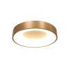 Steinhauer Ringlede Plafondlamp Goud, Wit, 1-licht