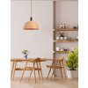 Steinhauer Veneer Hanglamp Zwart, 1-licht
