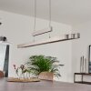 Inicio Hanglamp LED Nikkel mat, 5-lichts
