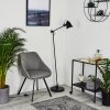 Peny Staande lamp Zwart, 1-licht