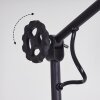 Peny Staande lamp Zwart, 1-licht