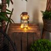 Moliitsi Solarlamp LED Bruin, Rookkleurig, 10-lichts