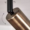 Baripada Plafondlamp Messing, Zwart, 2-lichts
