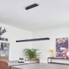 Seaton Hanglamp LED Zwart, 1-licht