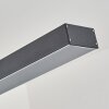 Seaton Hanglamp LED Zwart, 1-licht