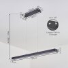 Seaton Hanglamp LED Zwart, 1-licht