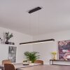 Seaton Hanglamp LED Zwart, 1-licht