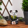 Pandia Solarlamp LED Duidelijk, 2-lichts