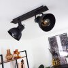 Hora Plafondlamp Zwart, 2-lichts Hora Plafondlamp Zwart, 2-lichts