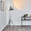 Svanfolk Staande lamp Grijs, 1-licht