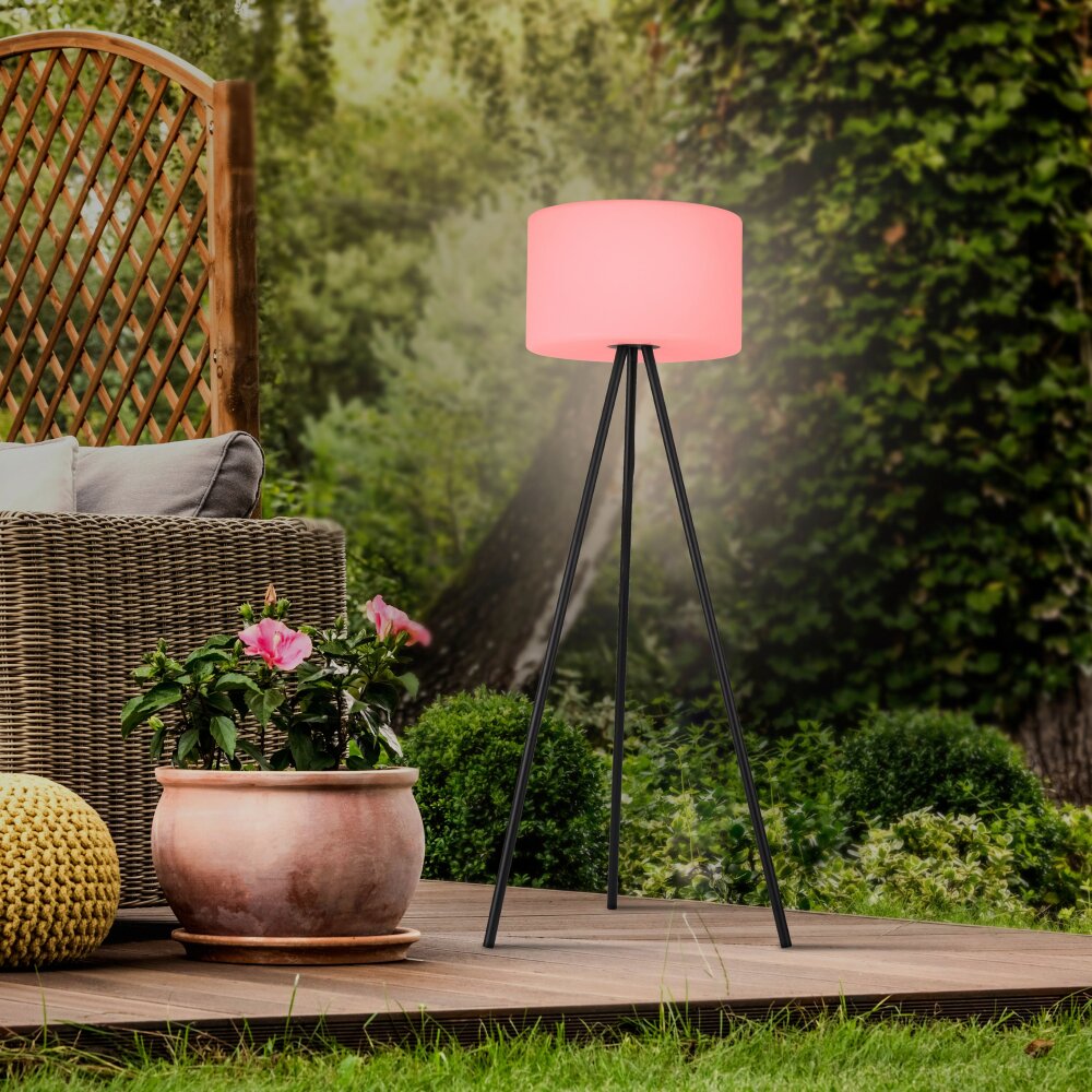 Leuchten Direkt HOLLY Staande lamp LED Zwart, 1-licht, Kleurwisselaar main product photo