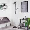 Wonsbek Staande lamp LED Zwart, 2-lichts
