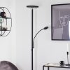 Wonsbek Staande lamp LED Zwart, 2-lichts