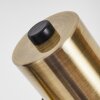 Pretoria Staande lamp Oud messing, Zwart, 2-lichts