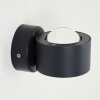 Andersro Buiten muurverlichting LED Zwart, 2-lichts
