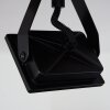 Giresta Plafondlamp LED Bruin, Zwart, 2-lichts