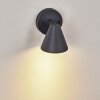 Fornaboda Buiten muurverlichting Antraciet, 1-licht