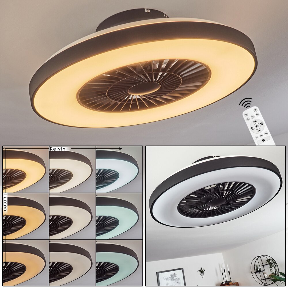 Qualiano plafondventilator LED Zwart, Wit, 1-licht, Afstandsbediening main product photo