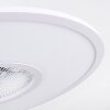 Marmorta plafondventilator LED Wit, 1-licht, Afstandsbediening