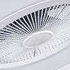 Marmorta plafondventilator LED Wit, 1-licht, Afstandsbediening