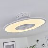 Marmorta plafondventilator LED Wit, 1-licht, Afstandsbediening