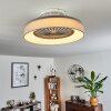 Moli plafondventilator LED Grijs, Wit, 1-licht, Afstandsbediening