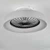 Moli plafondventilator LED Grijs, Wit, 1-licht, Afstandsbediening