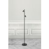 Nordlux OMARI Staande lamp LED Zwart, 2-lichts