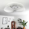 Rivarotta plafondventilator LED Wit, 1-licht, Afstandsbediening