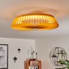 Rivarotta plafondventilator LED Wit, 1-licht, Afstandsbediening