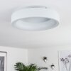 Pine Plafondlamp LED Wit, 1-licht