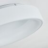 Pine Plafondlamp LED Wit, 1-licht