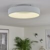 Pine Plafondlamp LED Wit, 1-licht