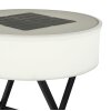 Globo  Solarlamp LED Zwart, 10-lichts, Afstandsbediening, Kleurwisselaar