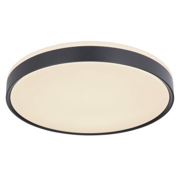 Globo SONNY Plafondlamp LED Zwart, Wit, 1-licht, Afstandsbediening