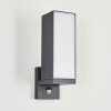 Swanek Buiten muurverlichting LED Antraciet, 1-licht, Bewegingsmelder