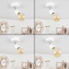 Musland Plafondlamp Chroom, Wit, 1-licht