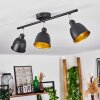 Pistrino Plafondlamp Chroom, Zwart, 3-lichts
