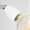 Musland Muurlamp Bruin, Chroom, 1-licht