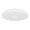Globo RAFFY Plafondlamp LED Zwart, Wit, 1-licht, Afstandsbediening, Kleurwisselaar