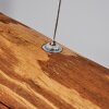 Merlengo Hanglamp LED Zwart, 1-licht